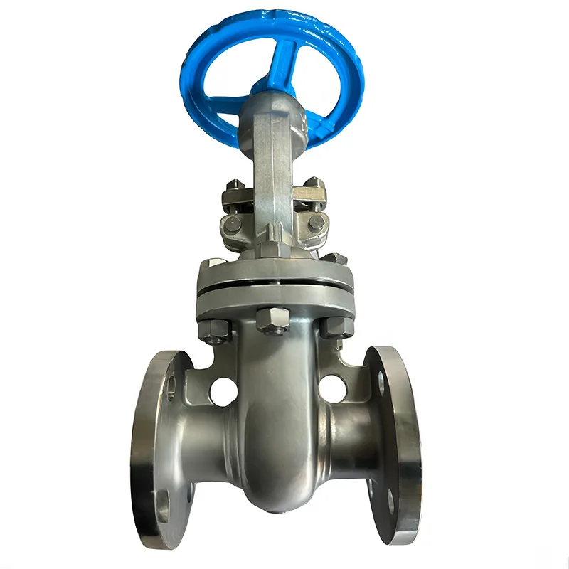 უჟანგავი ფოლადის API Flanged Gate Valve